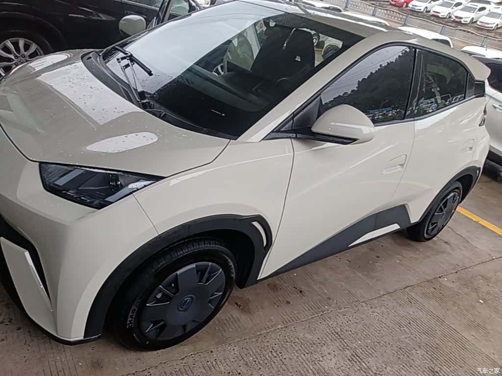 BYD Seagull, 2025 1