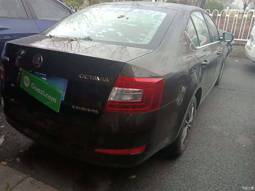 Skoda Octavia, 2017 все фото