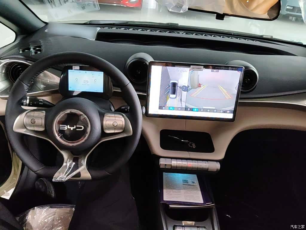 BYD Dolphin, 2026 10