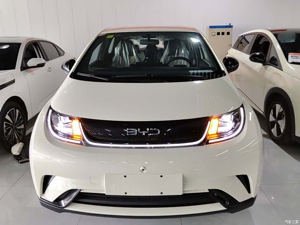 BYD Dolphin, 2026 3