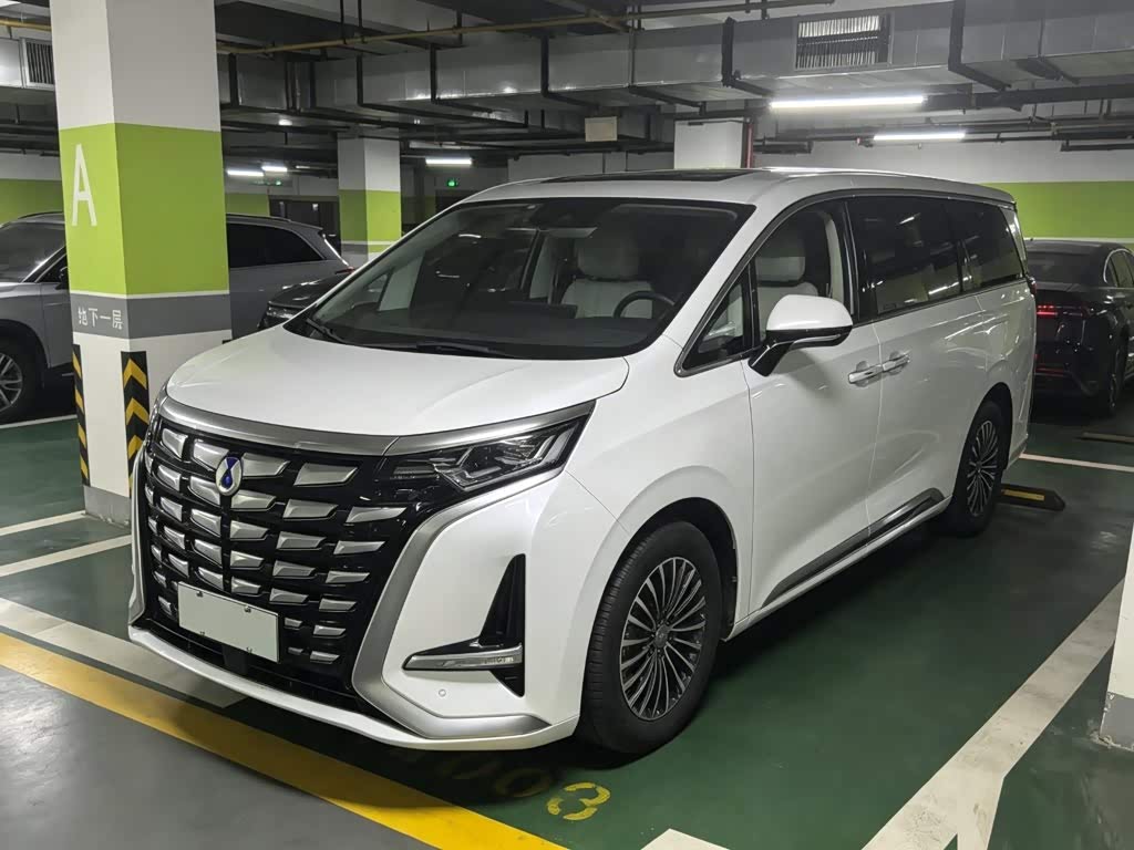 Denza D9