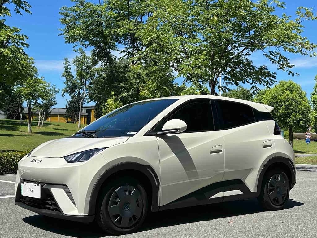 BYD Seagull