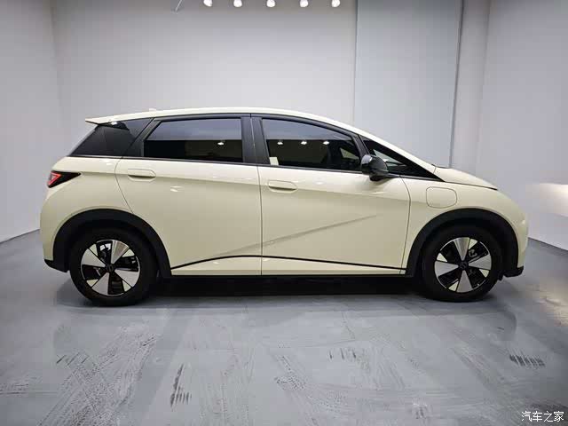 BYD Dolphin, 2024 8