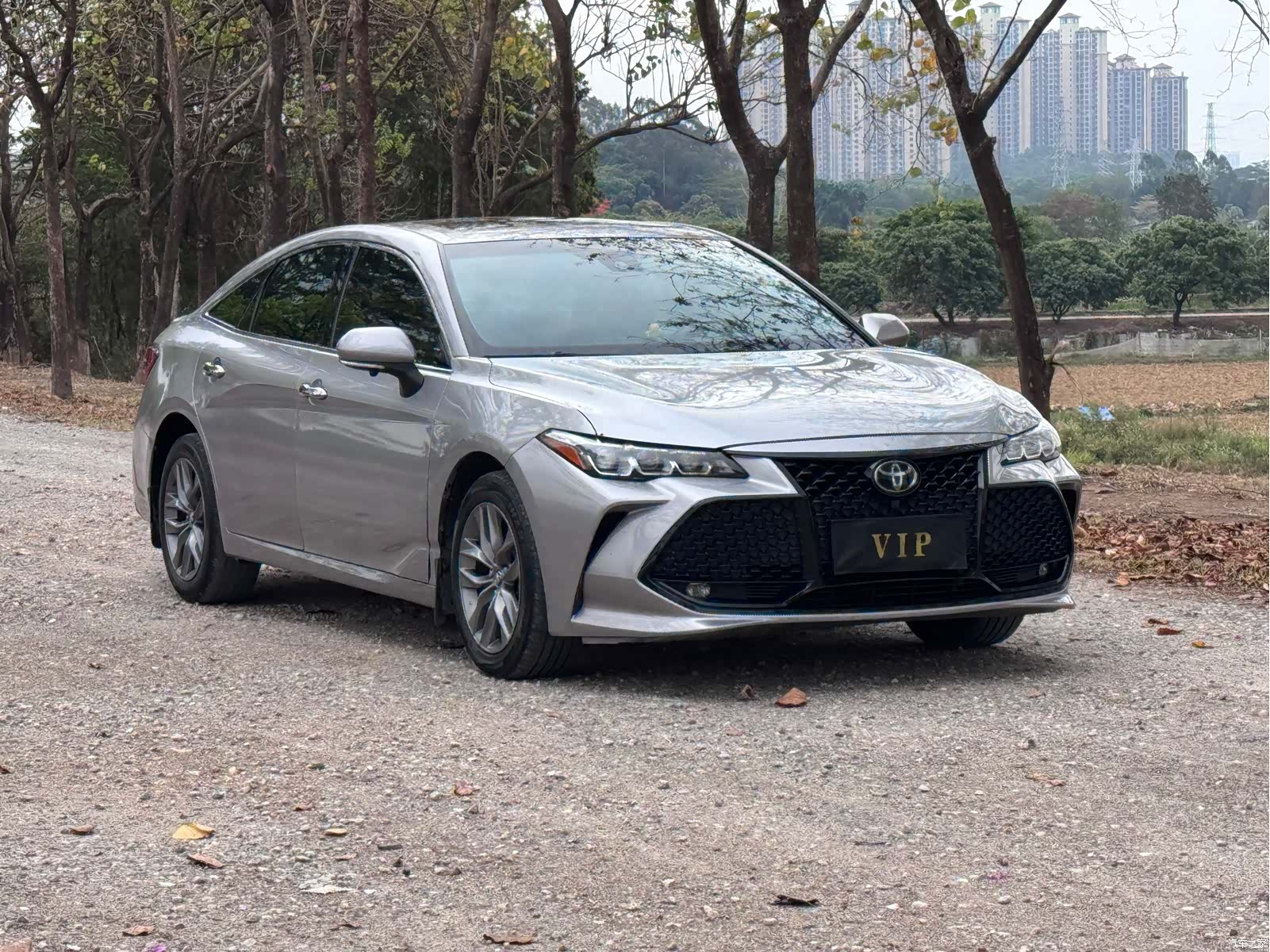 Toyota Avalon, 2019 3