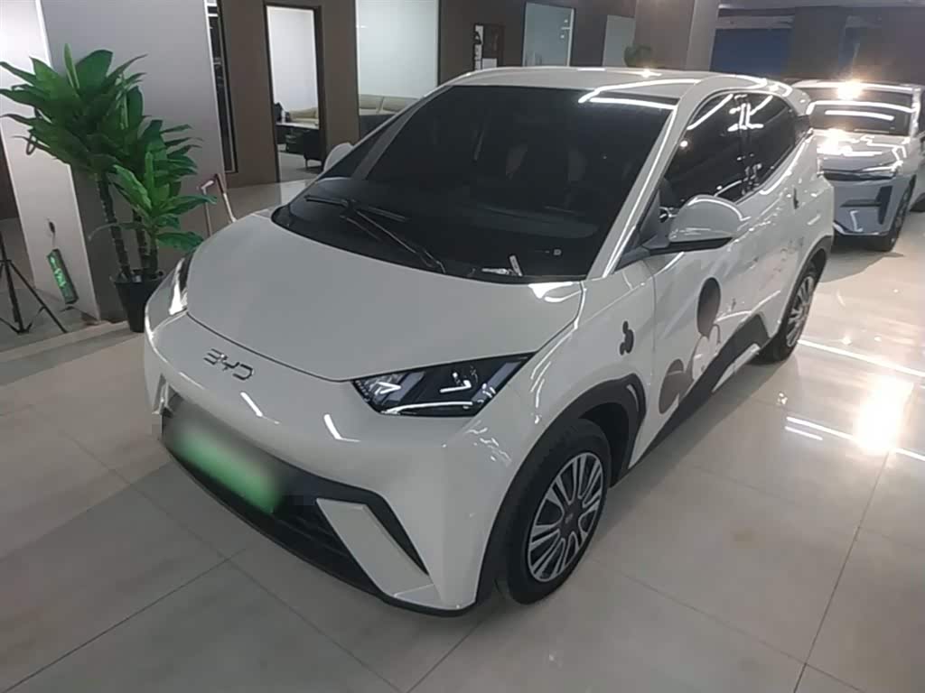 BYD Seagull
