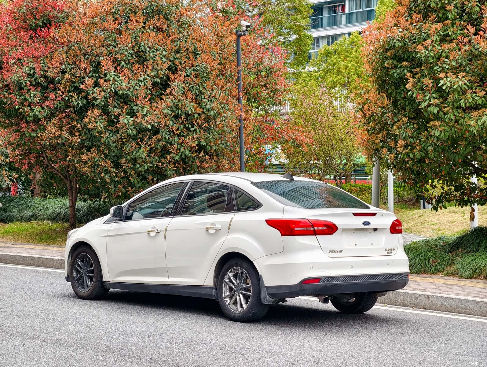 Ford Focus, 2016 все фото
