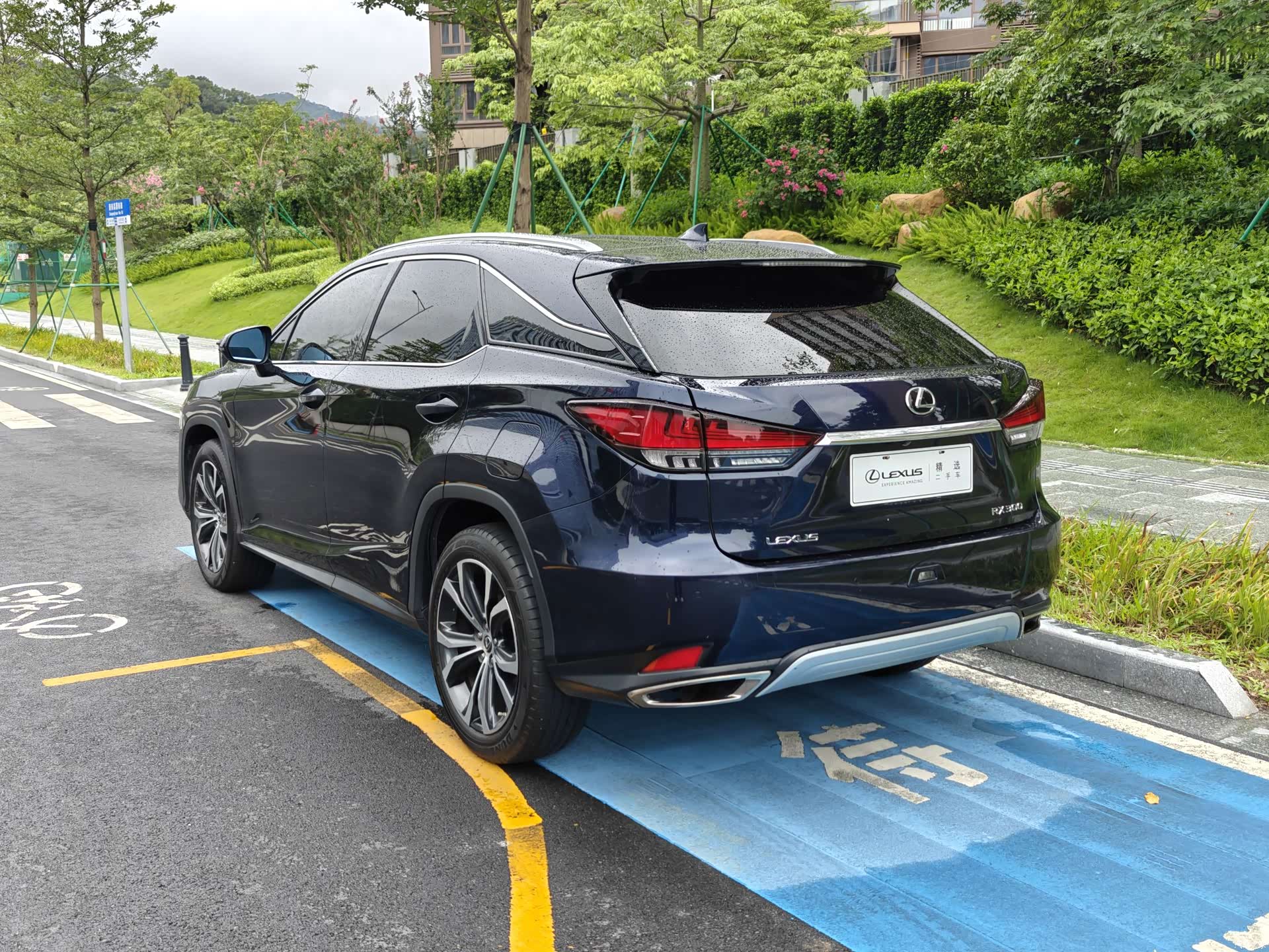 Lexus RX, 2022 16
