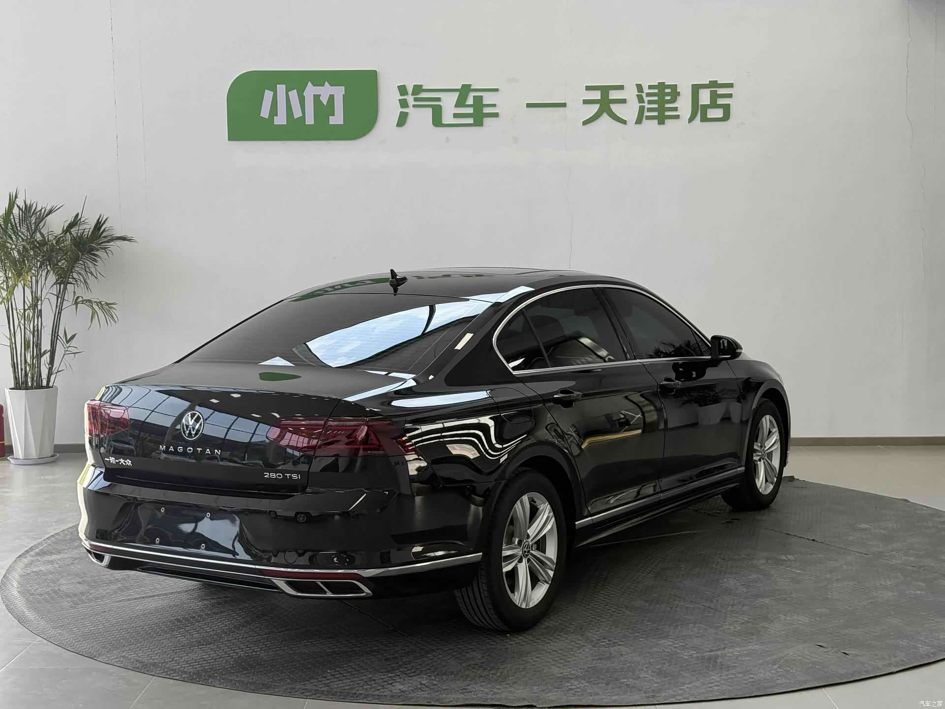Volkswagen Magotan, 2024 все фото