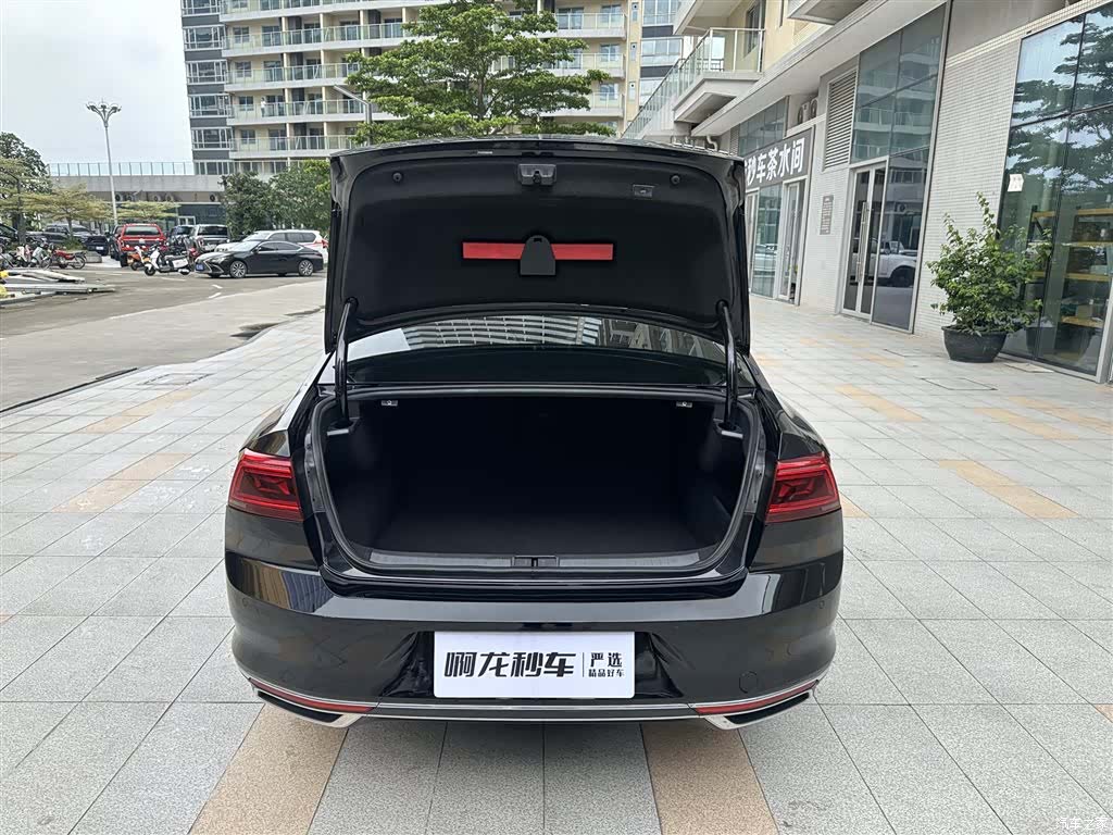 Volkswagen Magotan, 2021 20