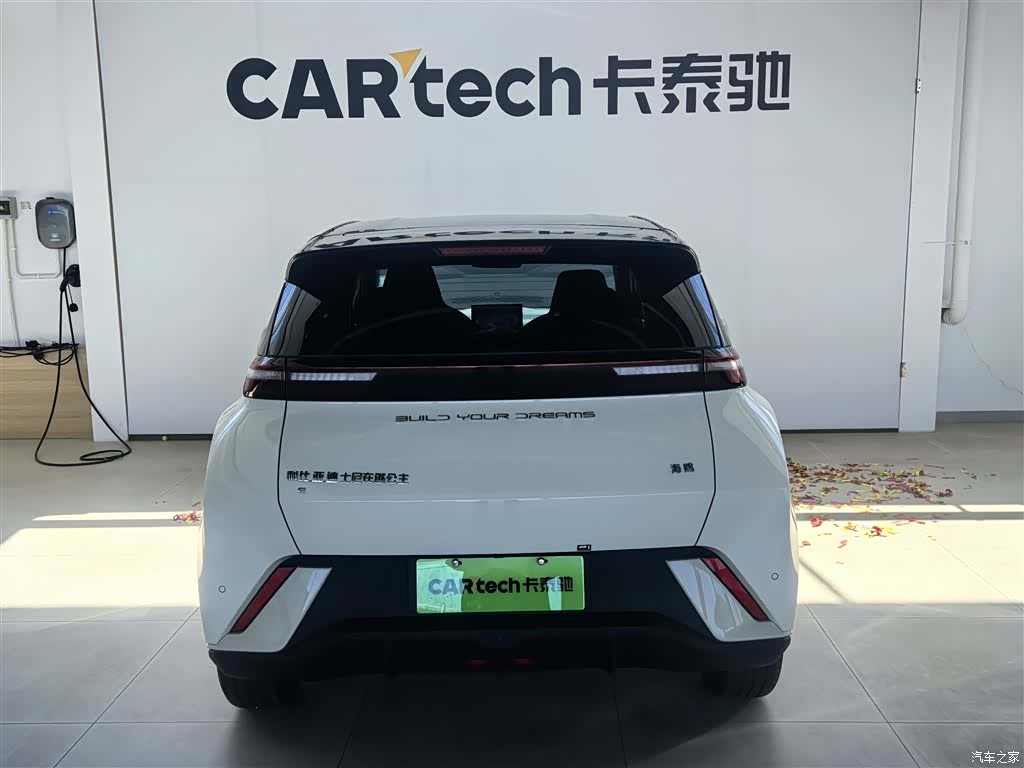 BYD Seagull, 2024 3