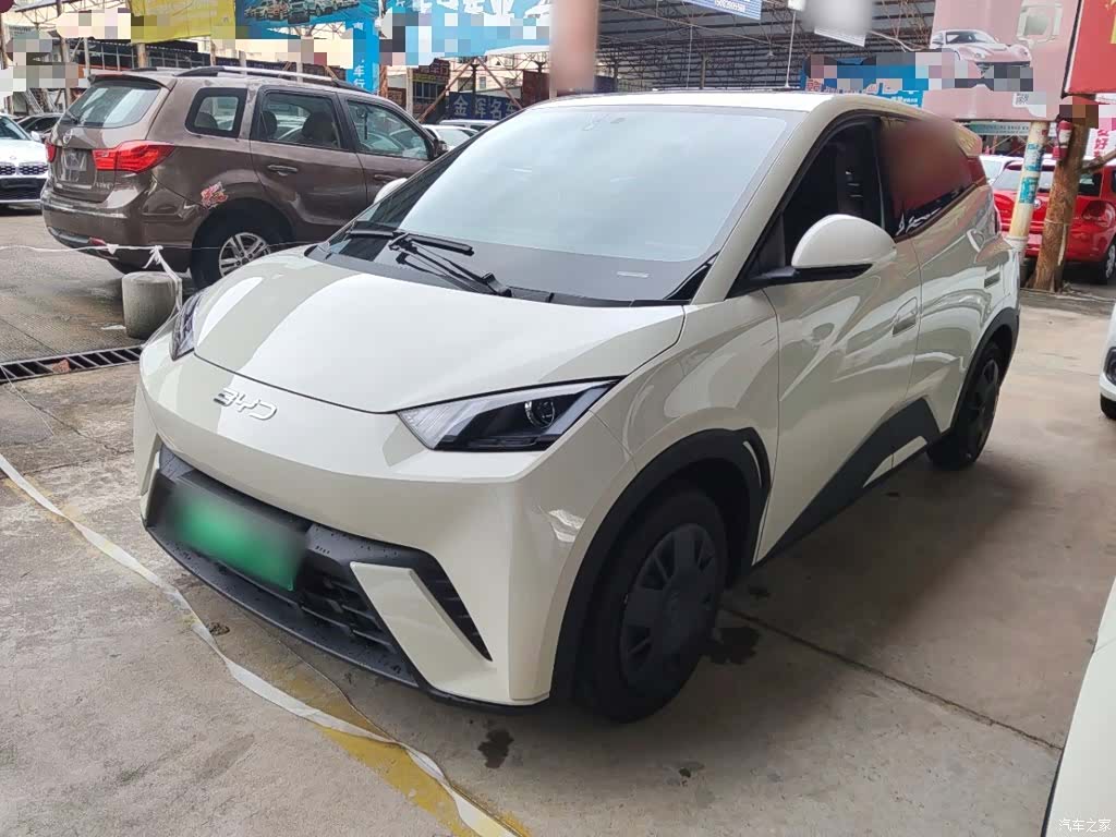 BYD Seagull, 2024 1