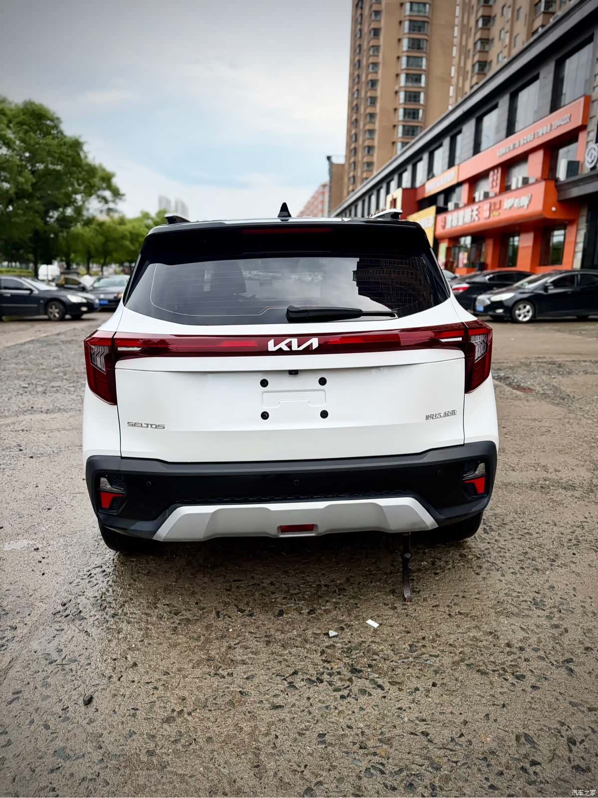 Kia Seltos, 2023 все фото