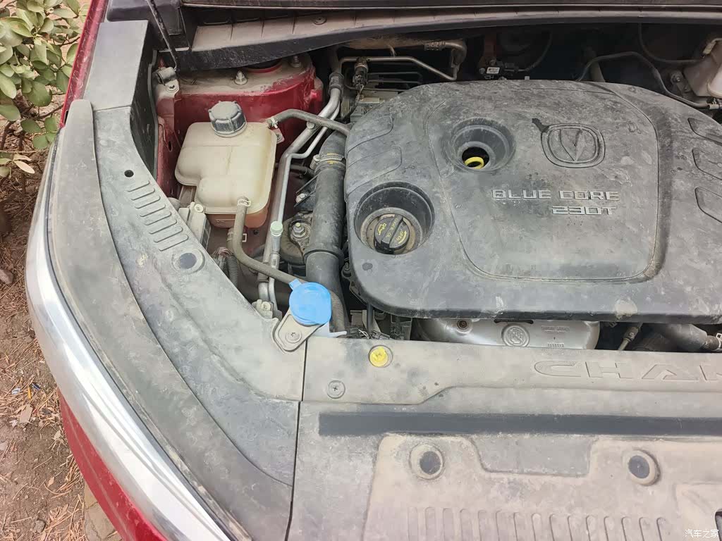 Changan CS55, 2019 21