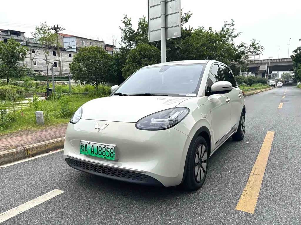 Wuling Binguo