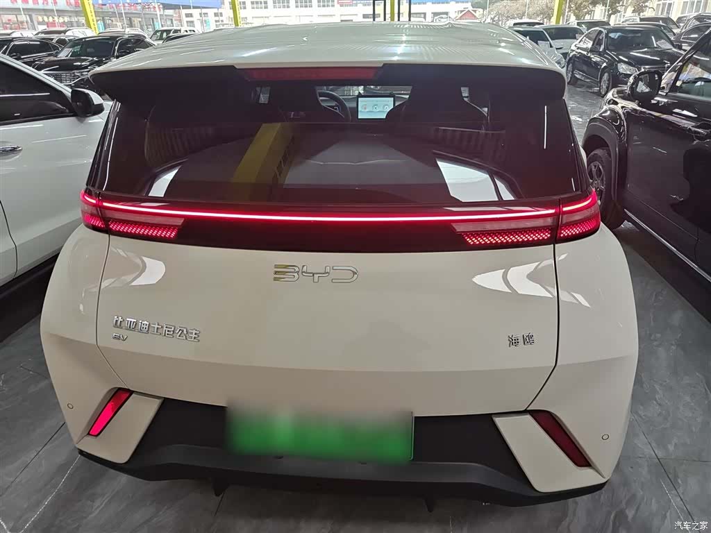 BYD Seagull, 2025 4
