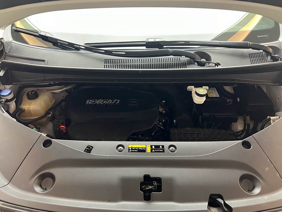 Trumpchi Trumpchi M8