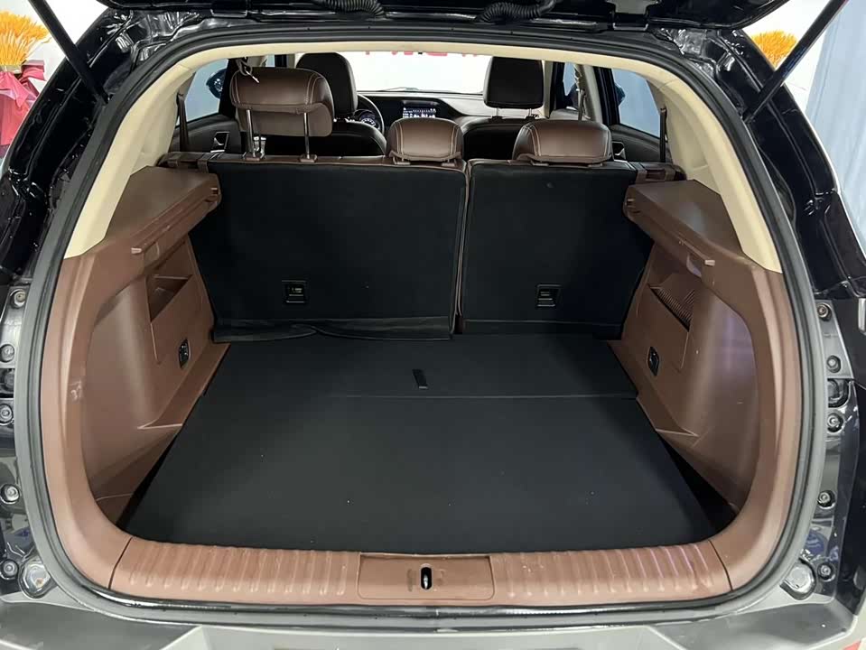 Leopaard Cheetah CS10