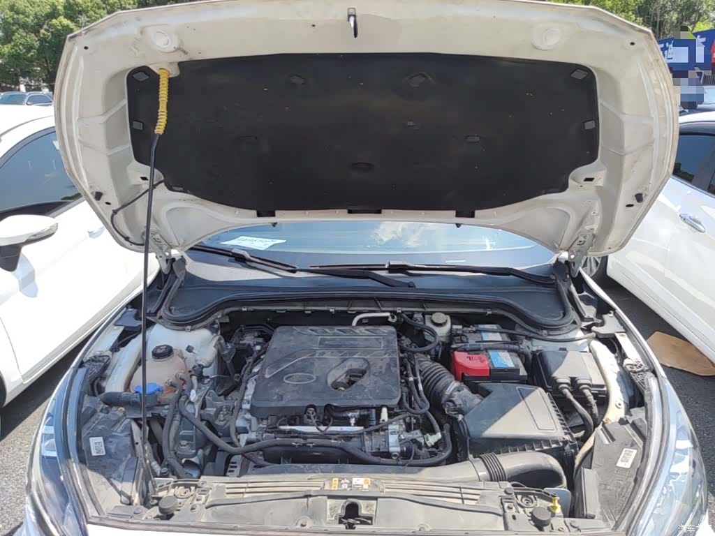 Ford Focus, 2019 20
