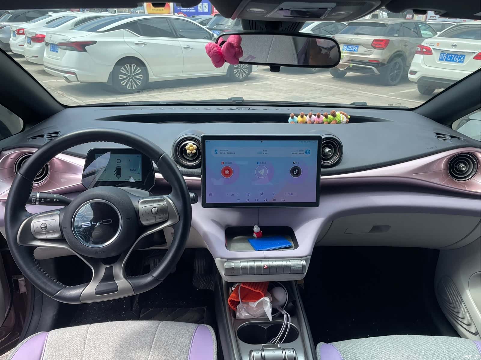 BYD Dolphin, 2022 3