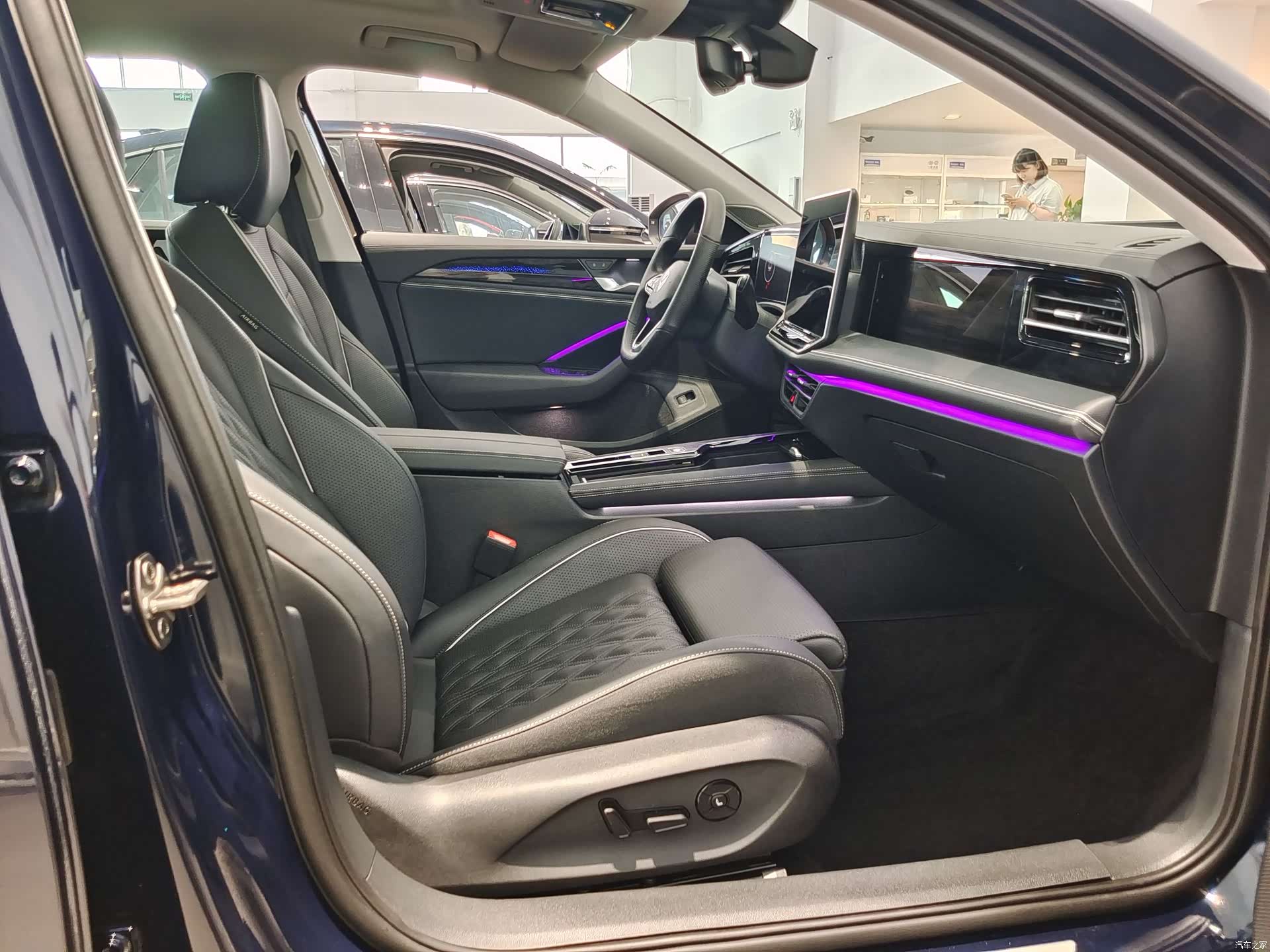 Volkswagen Magotan, 2024 8
