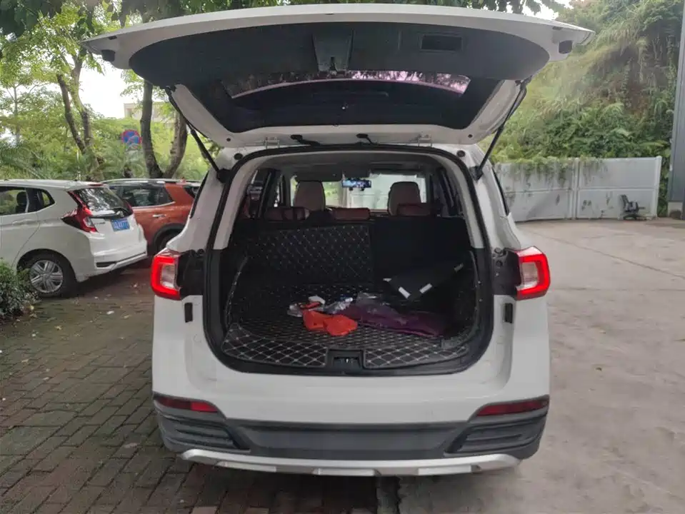 Forthing Popular T5 Forthing Popular T5