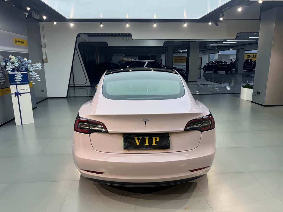 Tesla Model 3 Tesla Model 3
