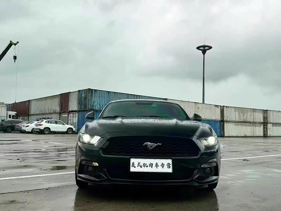 Ford Mustang Ford Mustang
