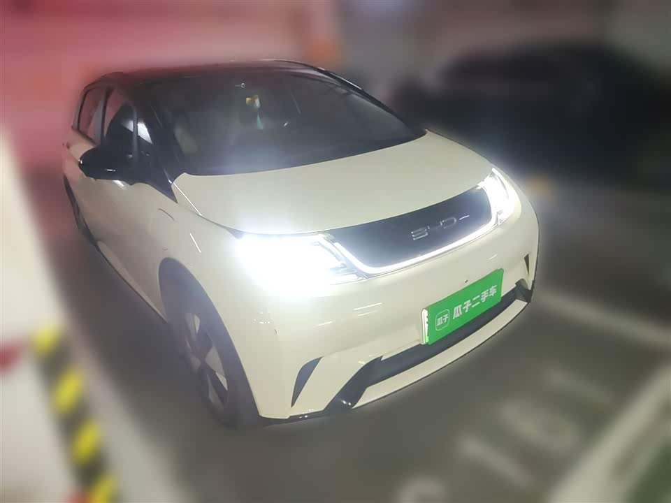 BYD dolphin