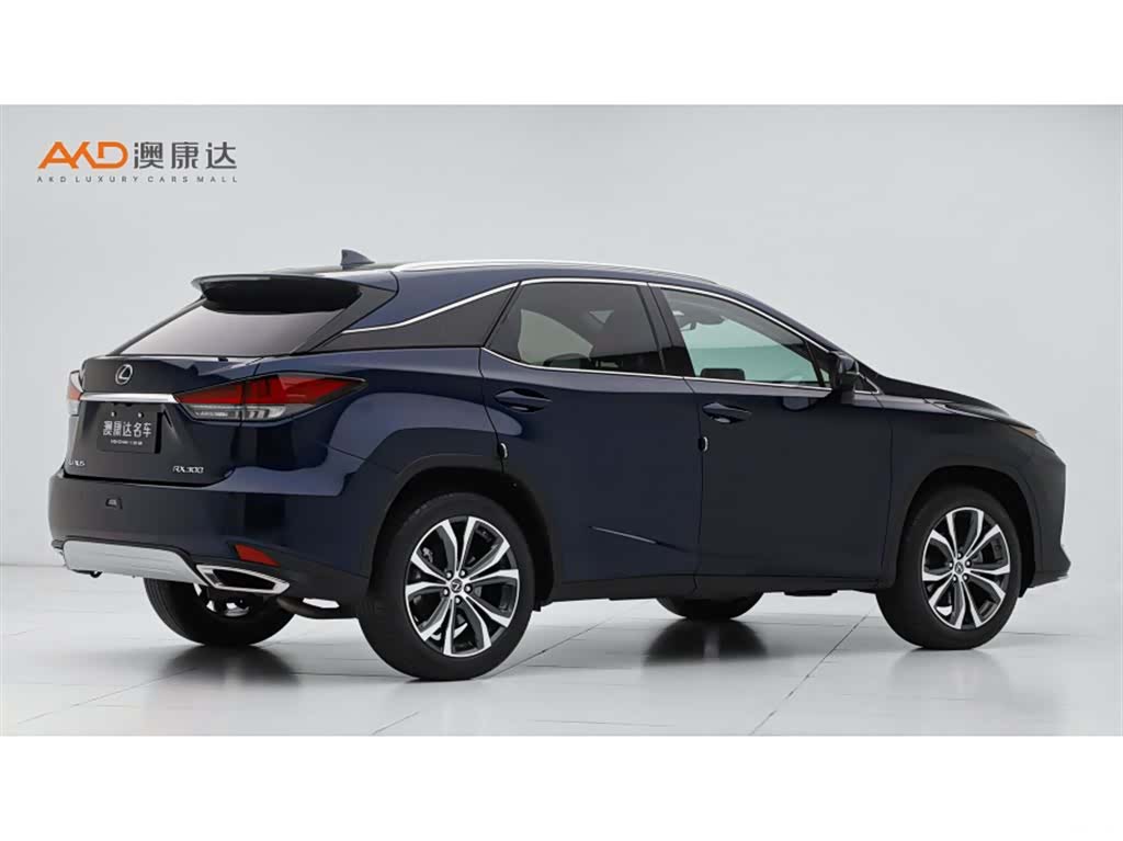Lexus RX, 2022 3