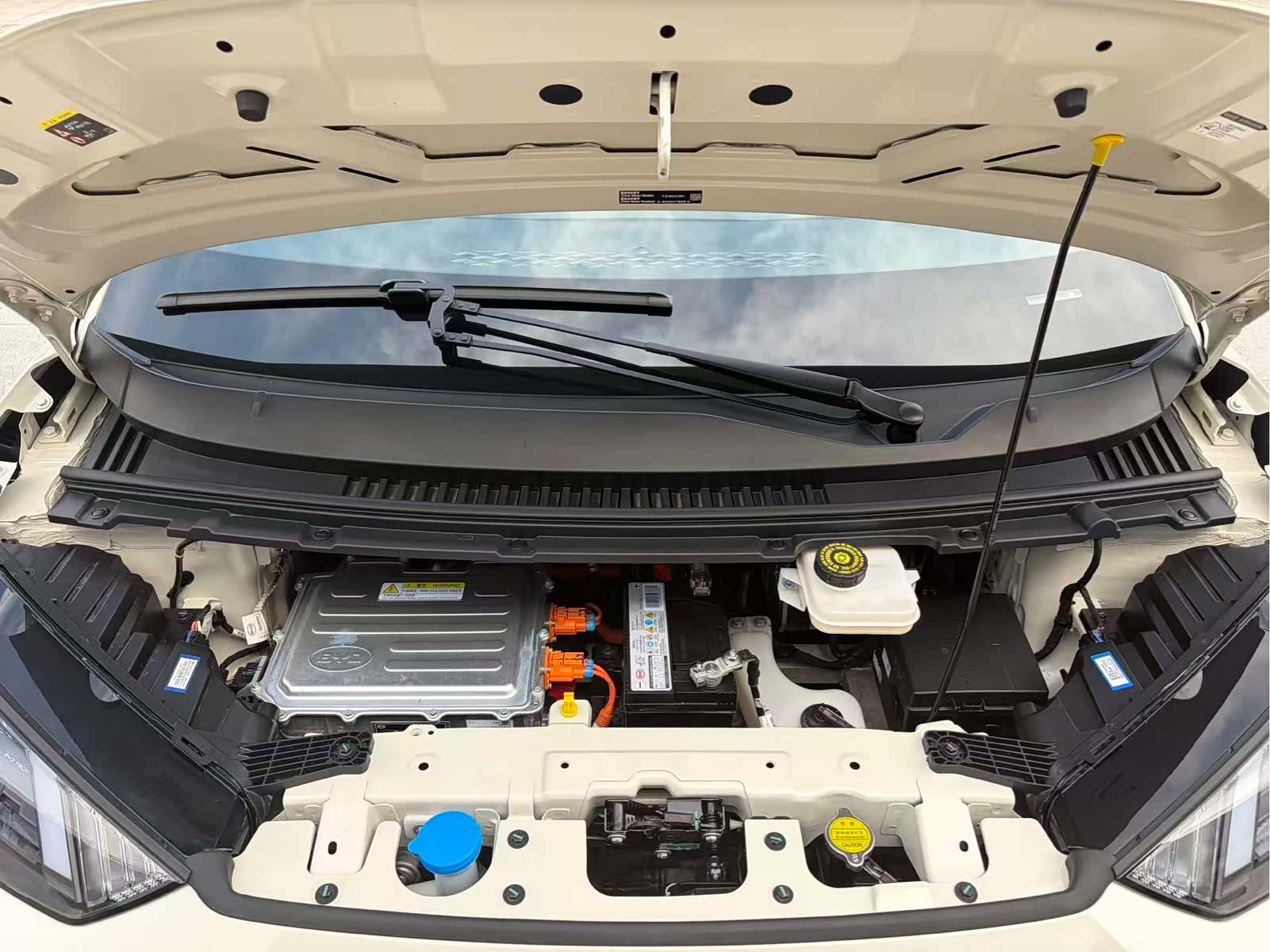 BYD Seagull, 2024 10