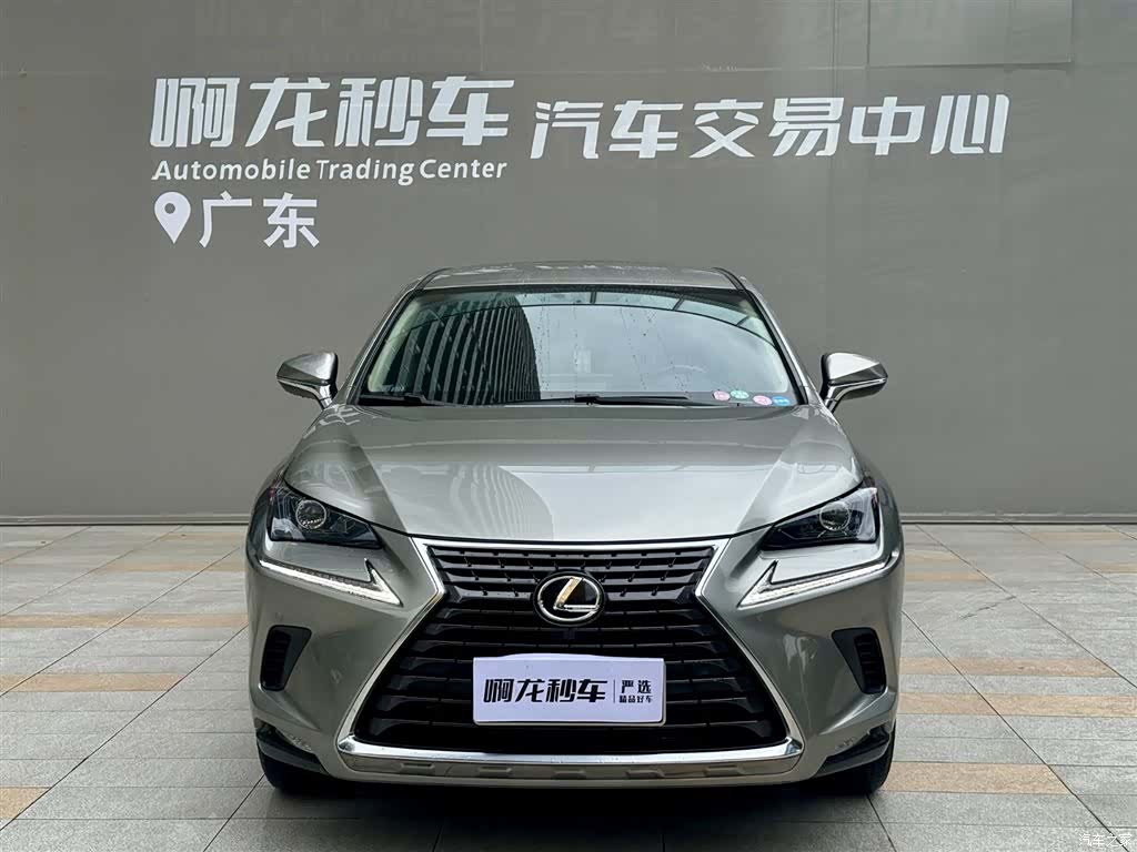 Lexus NX, 2021 2