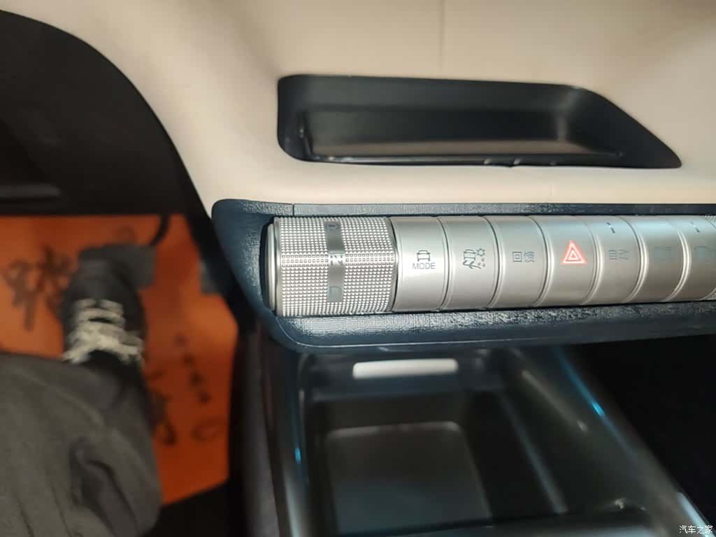 BYD Dolphin, 2024 10
