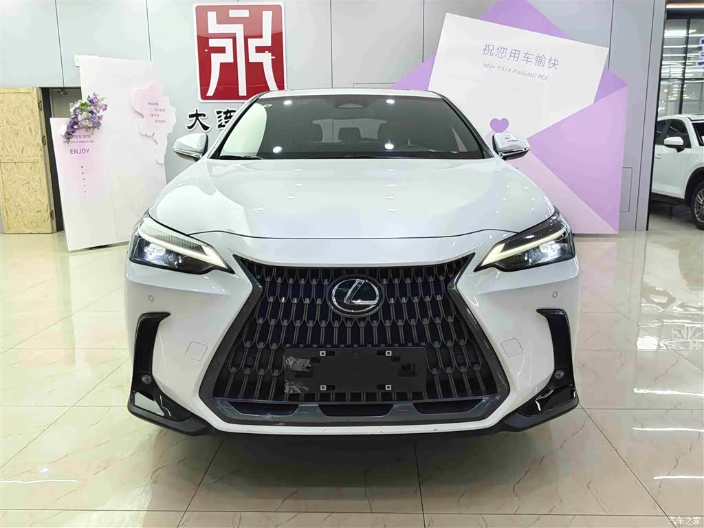 Lexus NX, 2023 2