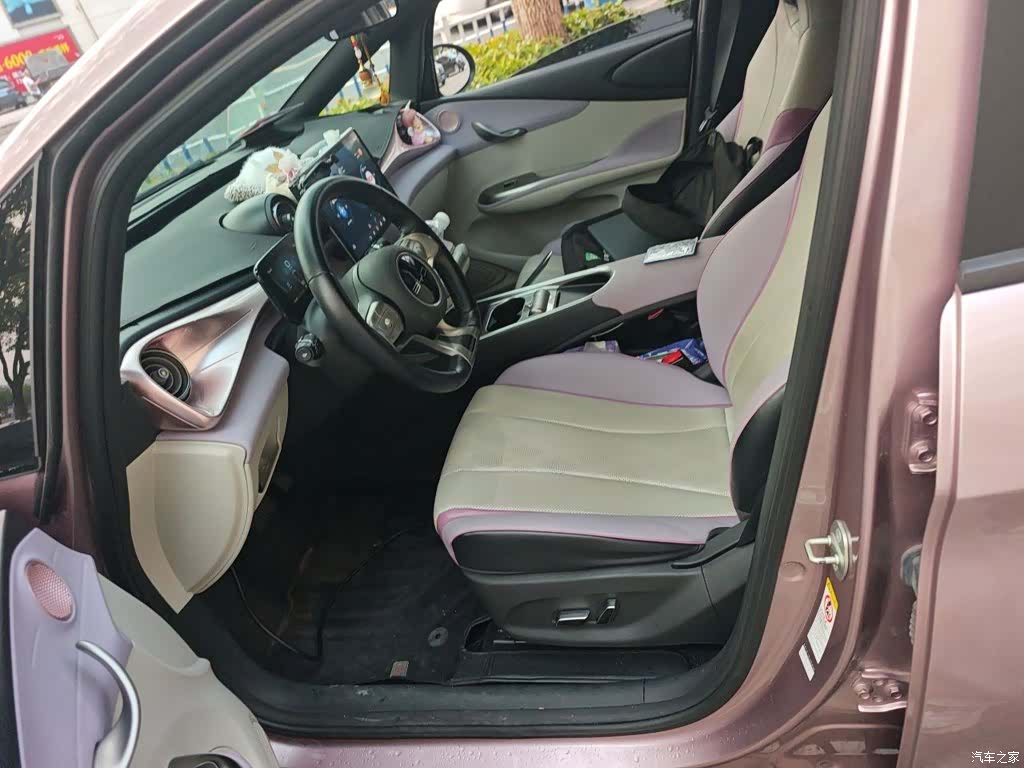 BYD Dolphin, 2023 8