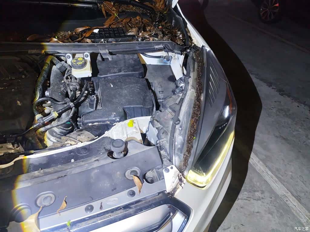 Ford Kuga, 2018 24