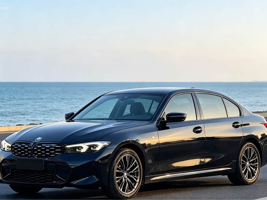 BMW 3 Series 3 2023 325Li M Sport