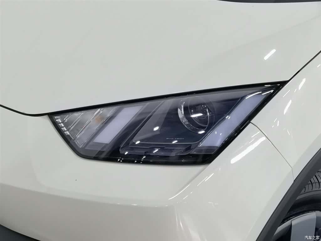 BYD Seagull, 2024 7