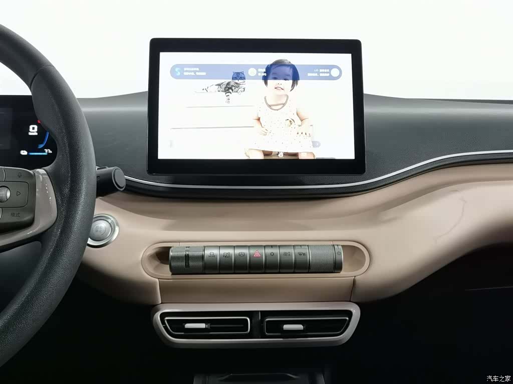 BYD Seagull, 2024 12
