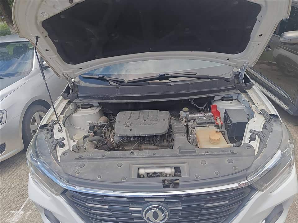 Forthing Popular T5 Forthing Popular T5