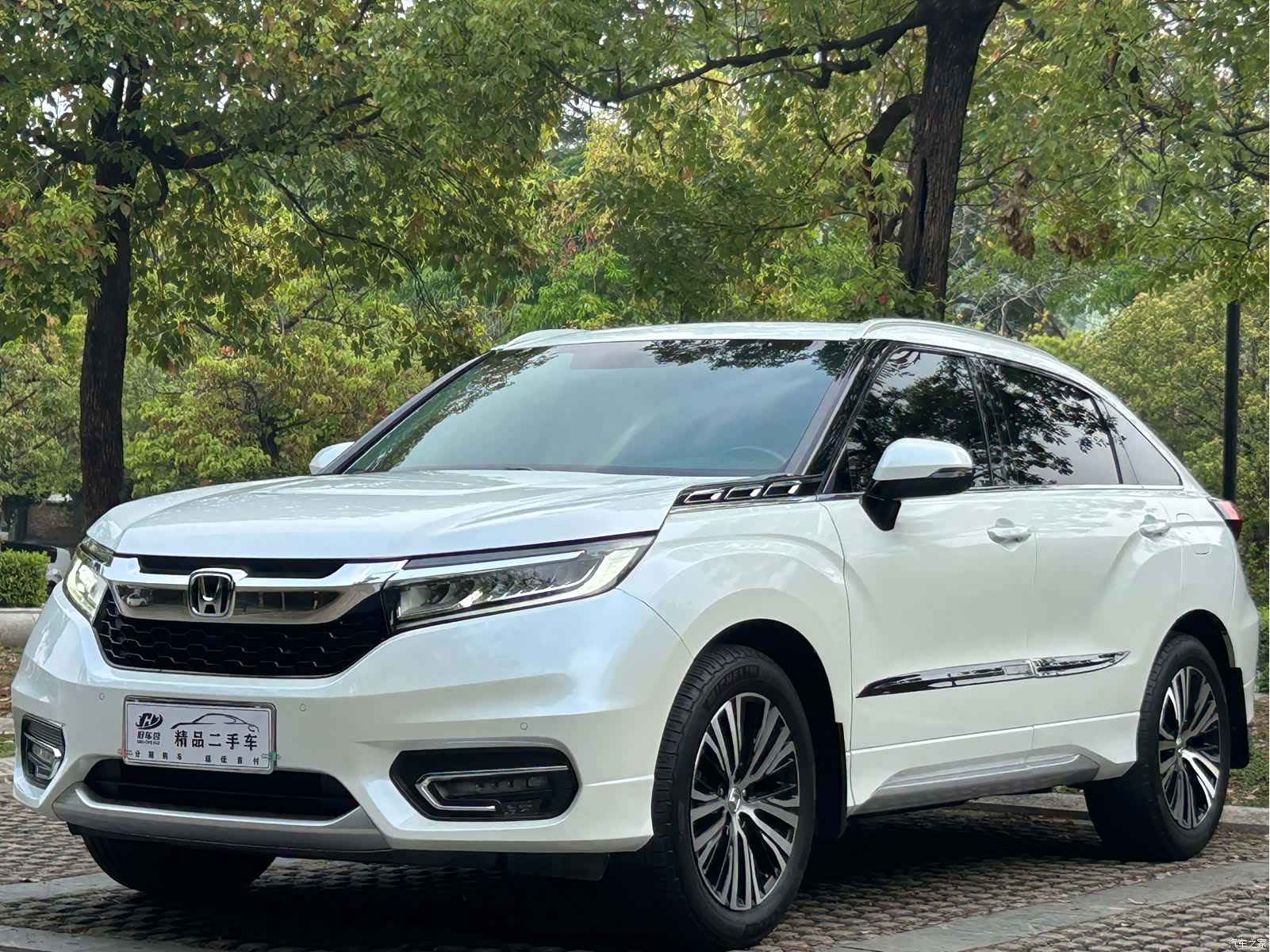 Honda Avancier, 2017 1