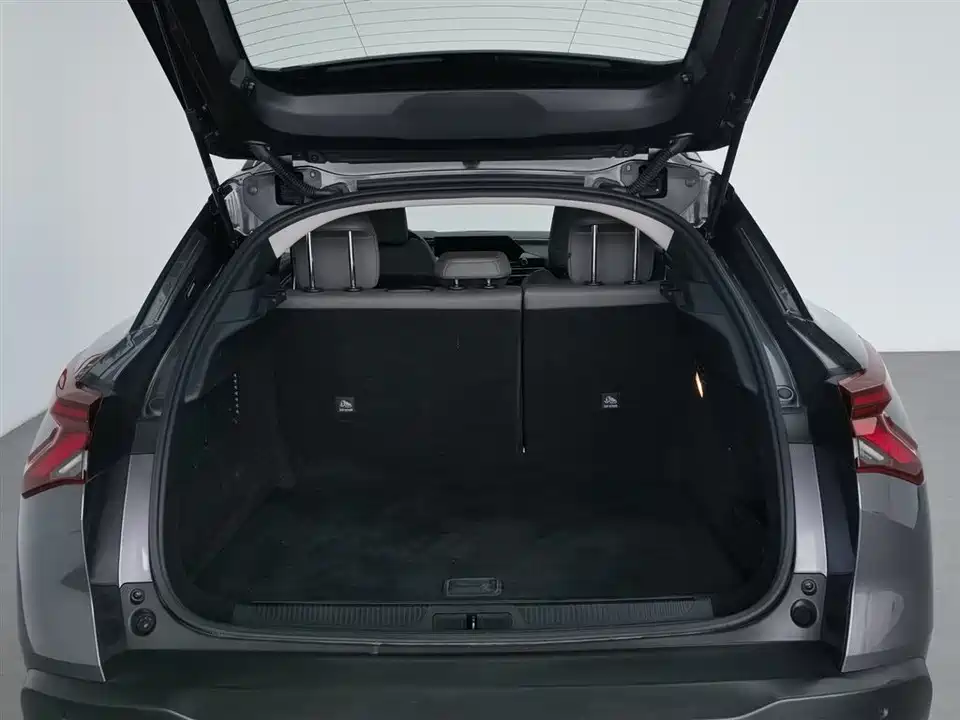 Citroen Versailles C5 X