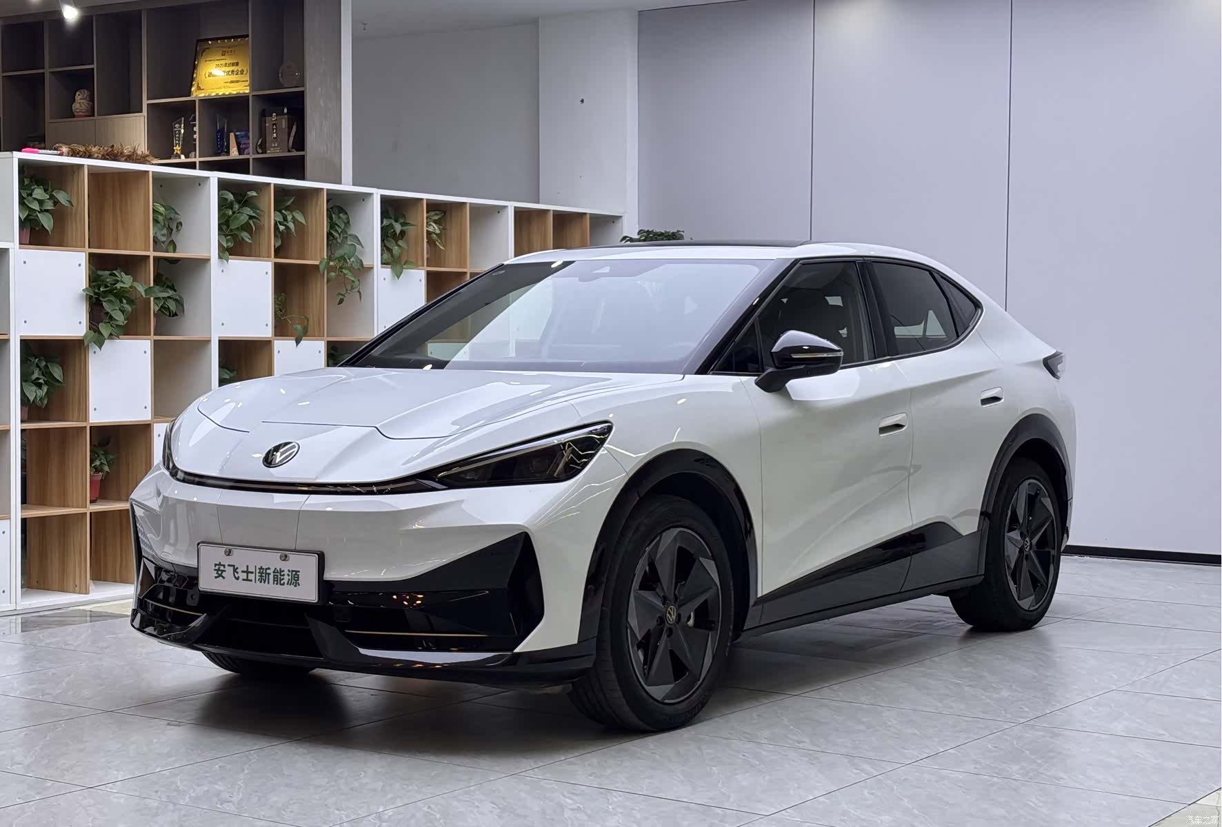 Volkswagen 06, 2025 1