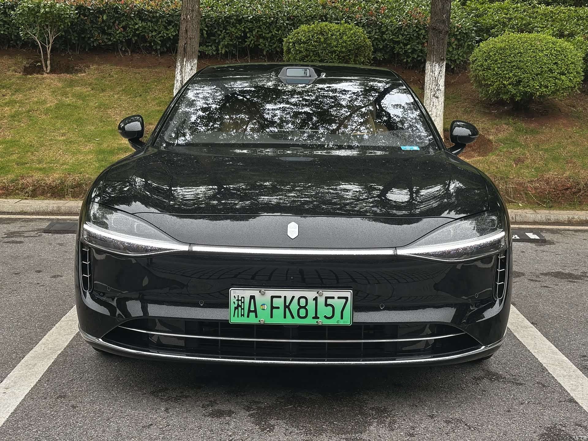 Stelato S9, 2025 3