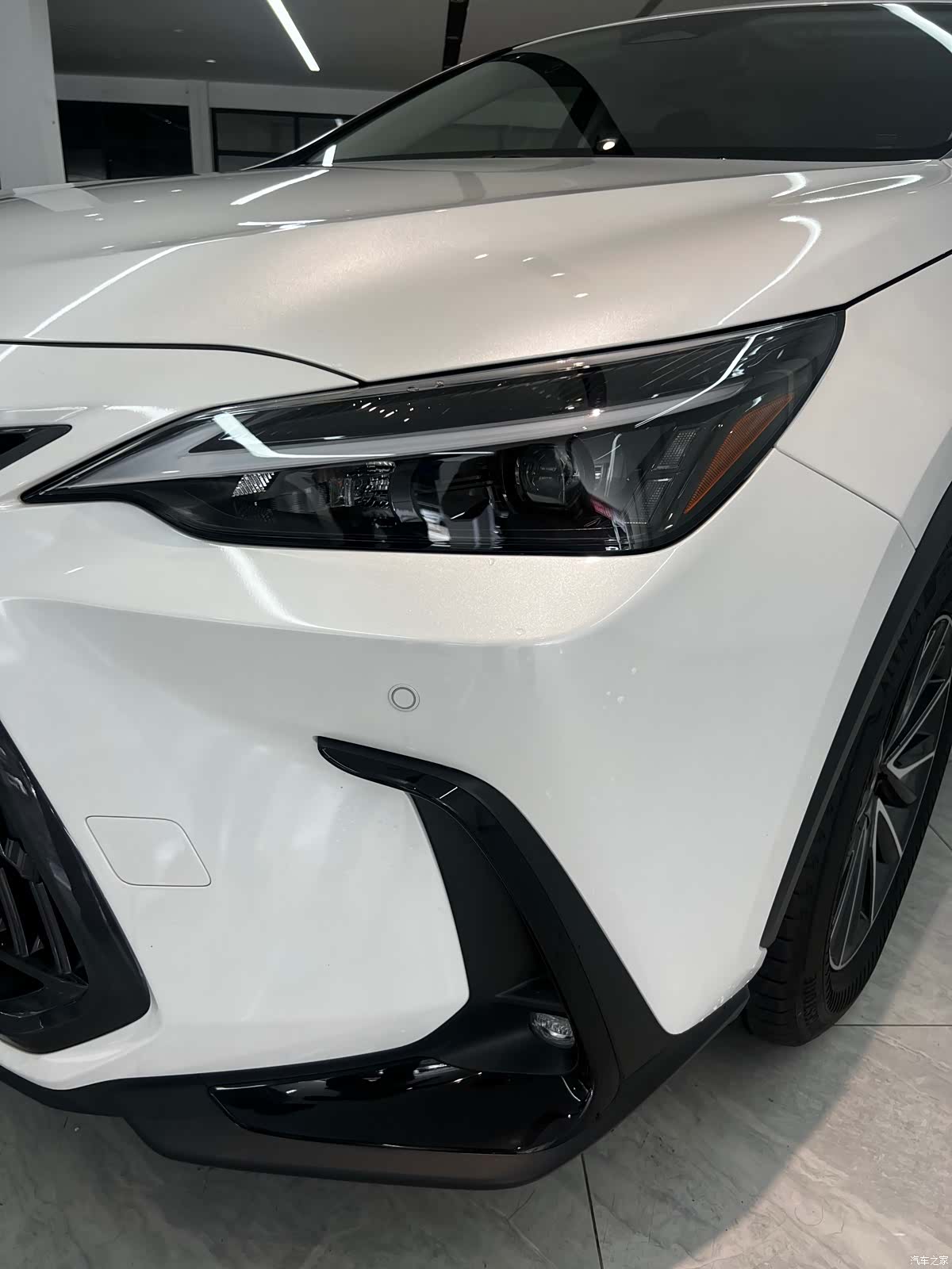 Lexus NX, 2023 4