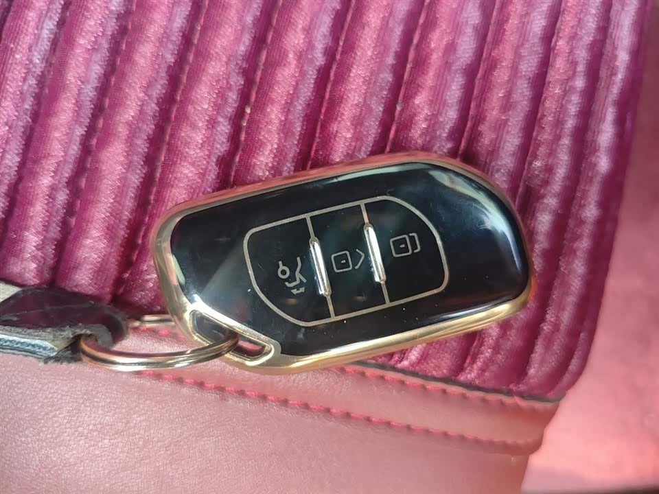 Forthing Popular T5 EVO