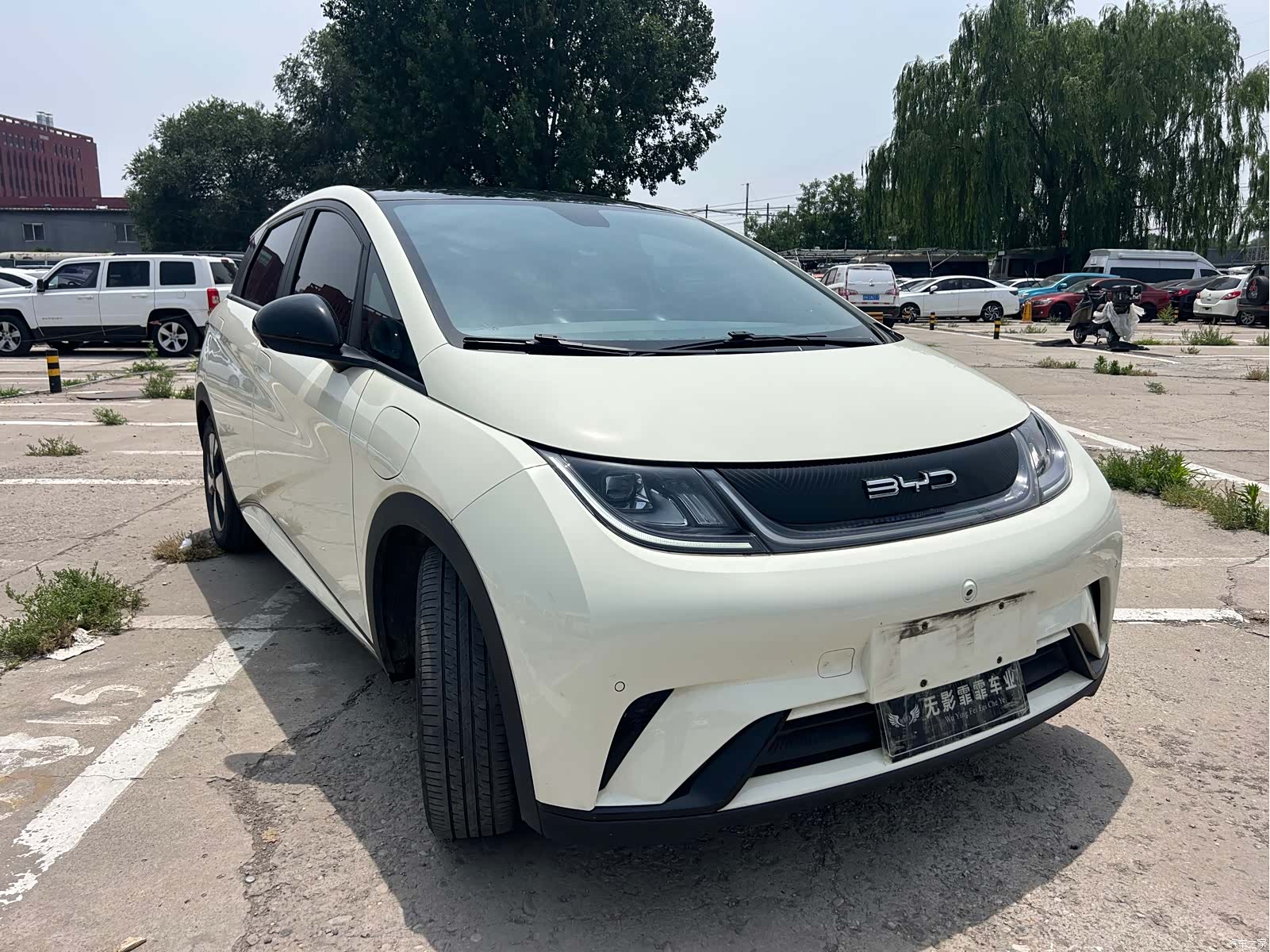 BYD Dolphin, 2023 3