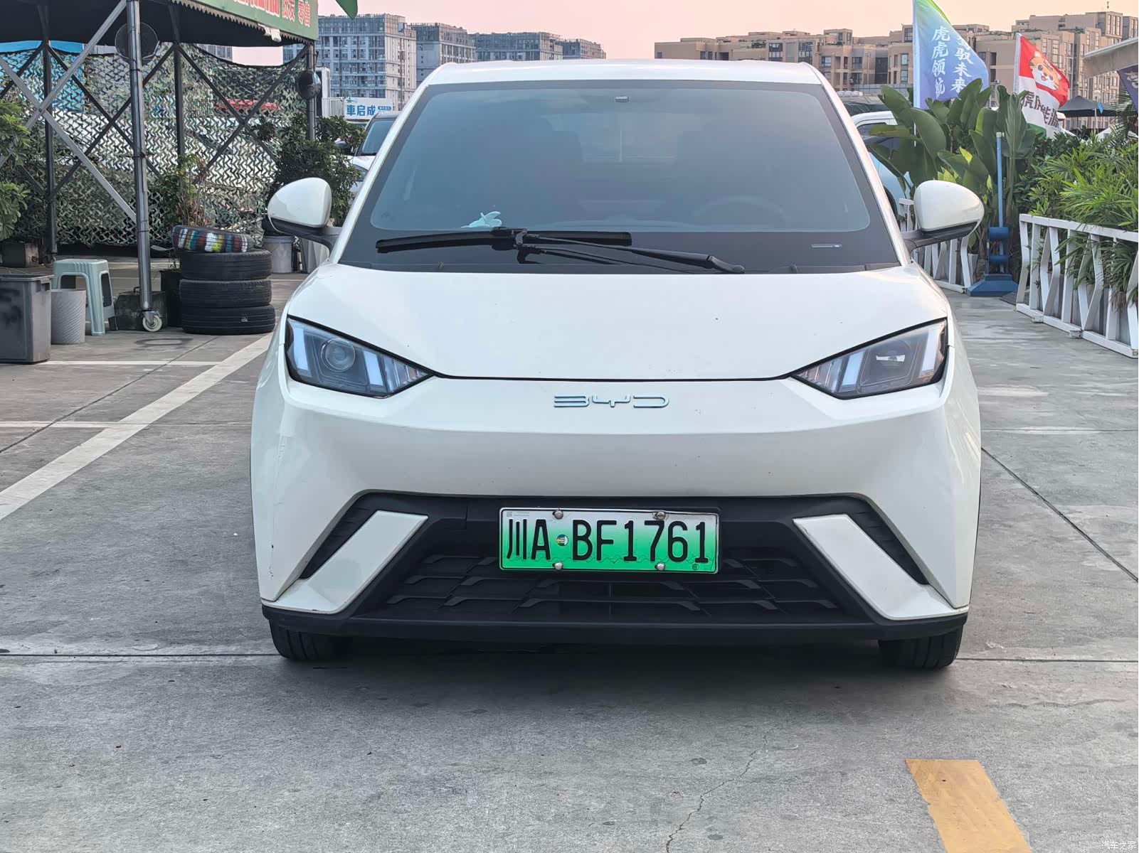 BYD Seagull, 2024 2