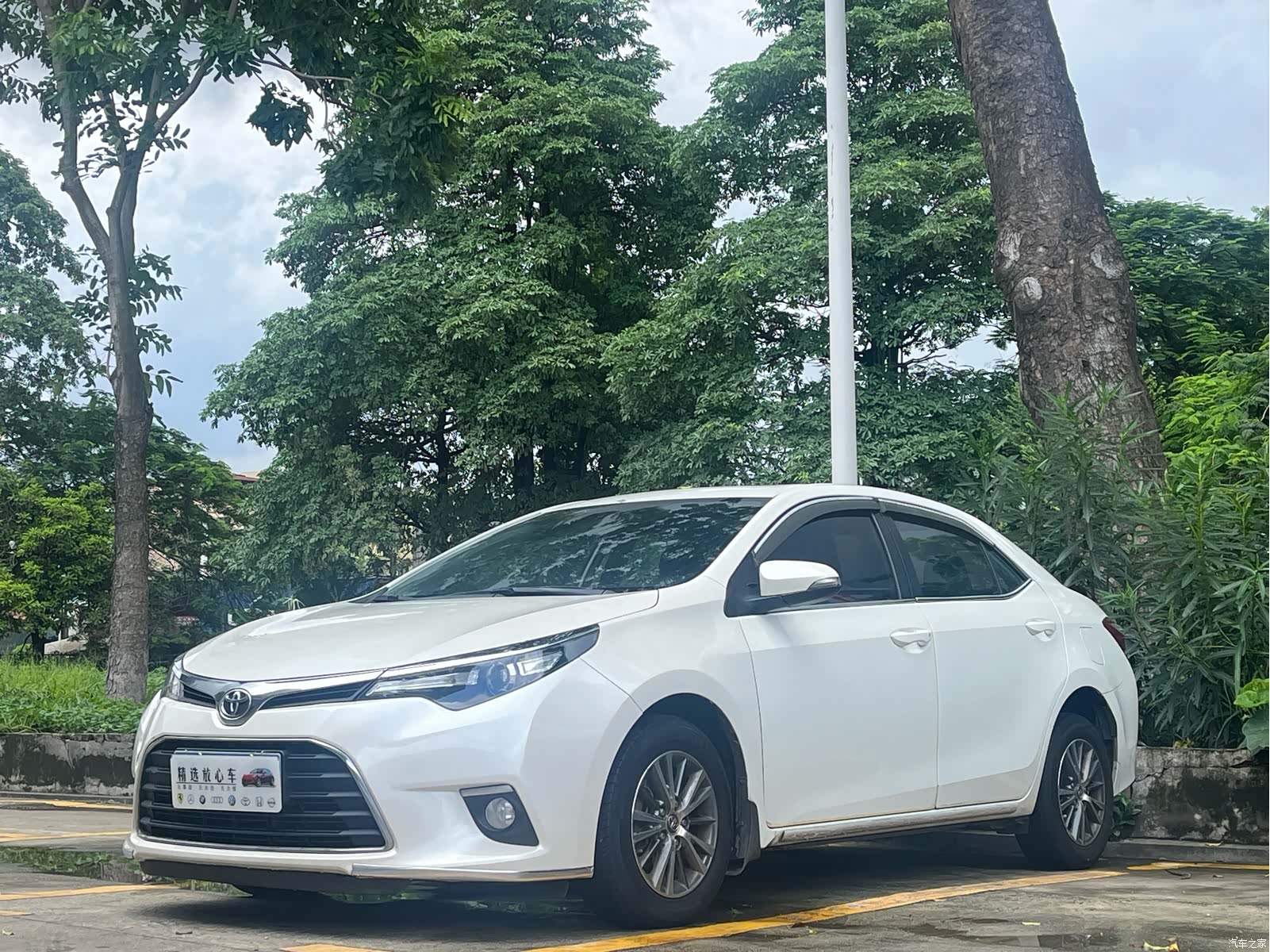 Toyota Levin
