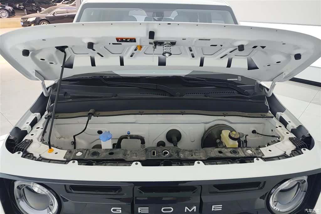 Geely Panda, 2025 10