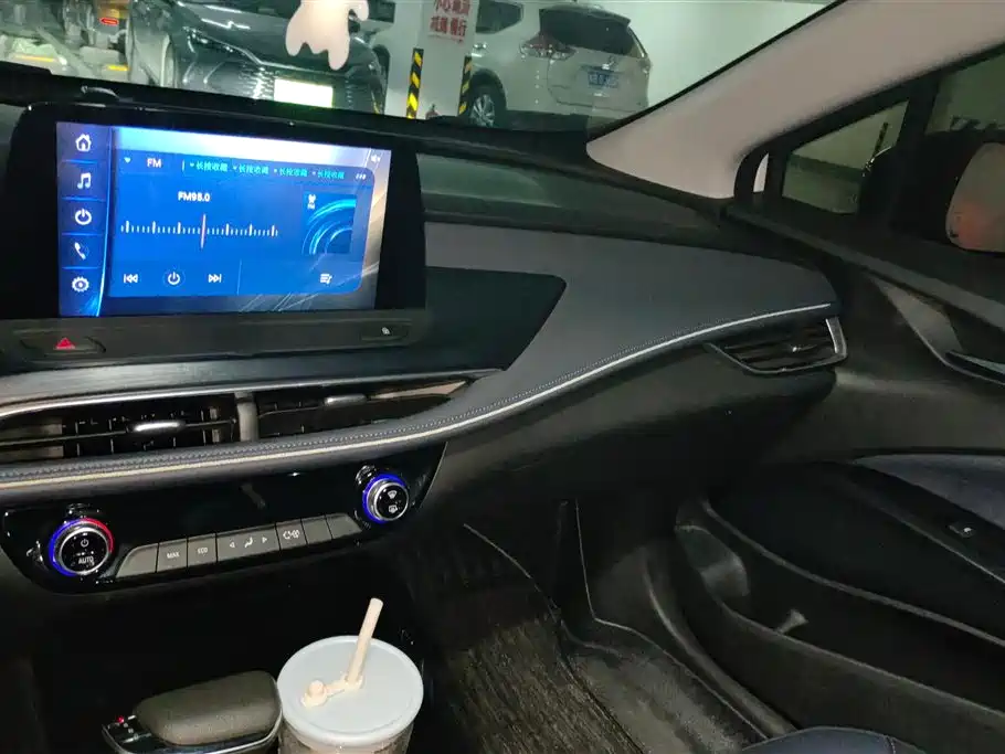 Buick Slightly blue 6